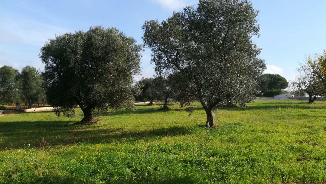 Villa Degli Ulivi Ceglie Messapica Εξωτερικό φωτογραφία